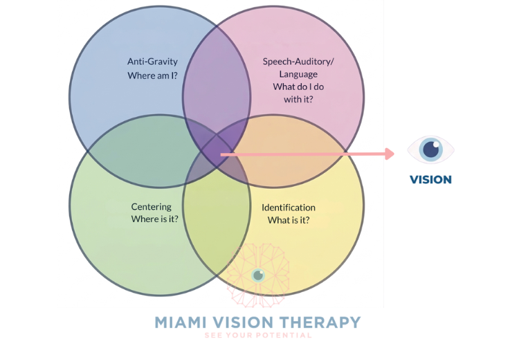 Diagram of Skeffington’s Four Circles of Vision showing anti-gravity, centering, identification, and speech-auditory/language systems overlapping to produce vision.