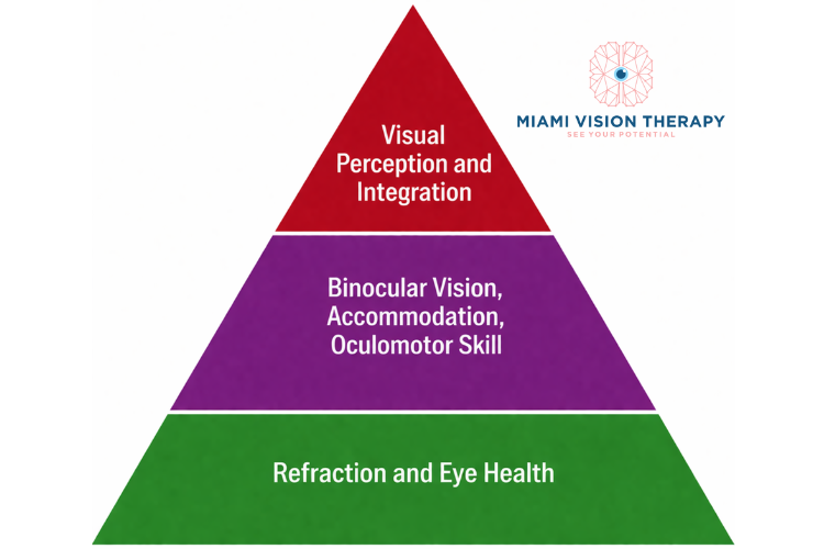 Pyramid model of vision showing refraction and eye health at the base, binocular vision and oculomotor skills in the middle, and visual perception and integration at the top.